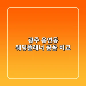 광주 용연동 웨딩플래너 꼼꼼 비교