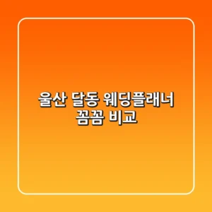 울산 달동 웨딩플래너 꼼꼼 비교