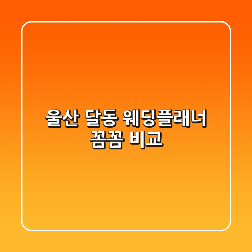 울산 달동 웨딩플래너 꼼꼼 비교