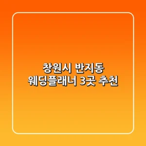 창원시 반지동 웨딩플래너 3곳 추천