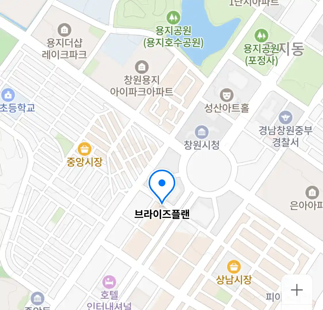 브라이즈플랜