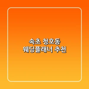 속초 청호동 웨딩플래너 추천
