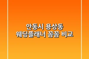 안동시 용상동 웨딩플래너 꼼꼼 비교