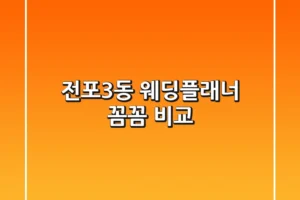 전포3동 웨딩플래너, 꼼꼼 비교!