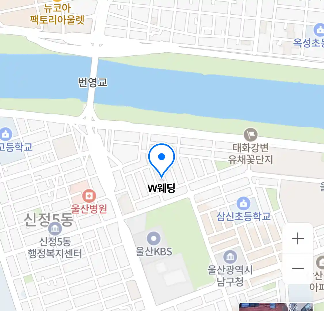 W웨딩