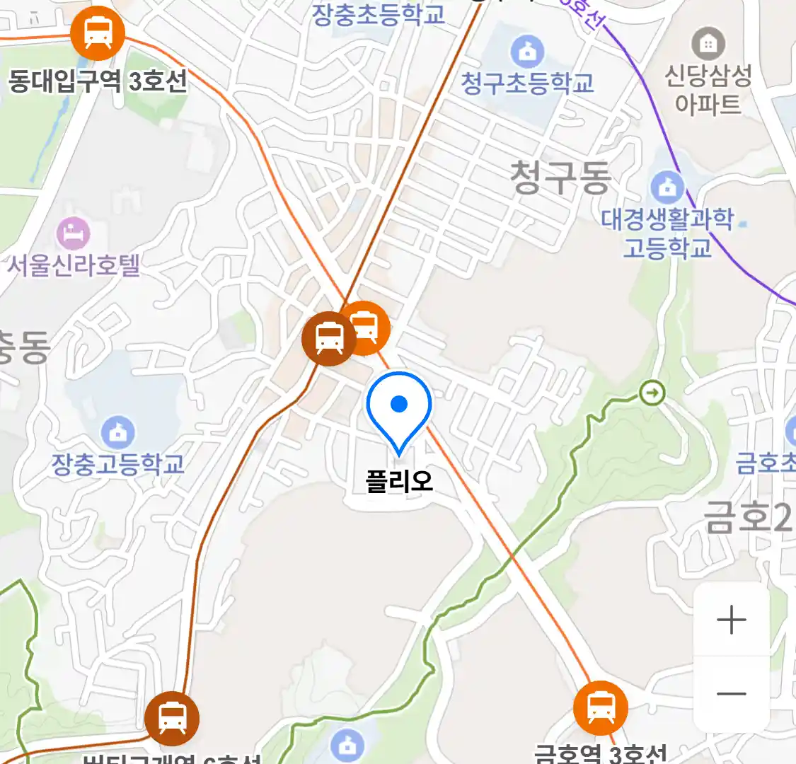 플리오