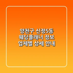 양천구 신정5동 웨딩플래너 정보: 업체별 상세 안내