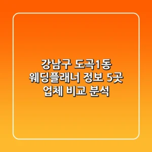 강남구 도곡1동 웨딩플래너 정보: 5곳 업체 비교 분석