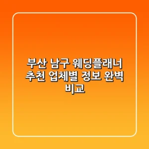 부산 남구 웨딩플래너 추천: 업체별 정보 완벽 비교