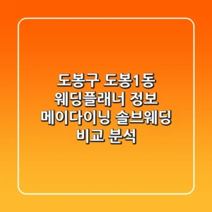 도봉구 도봉1동 웨딩플래너 정보: 메이다이닝, 솔브웨딩 비교 분석