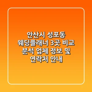 안산시 성포동 웨딩플래너 3곳 비교 분석 - 업체 정보 및 연락처 안내
