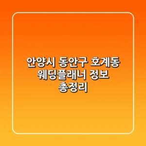 안양시 동안구 호계동 웨딩플래너 정보 총정리