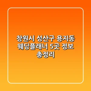 창원시 성산구 용지동 웨딩플래너 5곳 정보 총정리