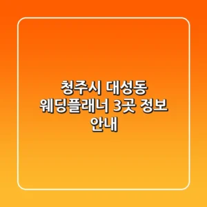 청주시 대성동 웨딩플래너 3곳 정보 안내