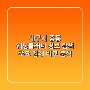 대구시 중동 웨딩플래너 정보 탐색 - 주요 업체 비교 분석