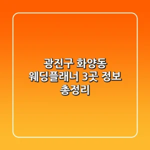 광진구 화양동 웨딩플래너 3곳 정보 총정리