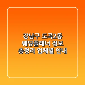 강남구 도곡2동 웨딩플래너 정보 총정리 - 업체별 안내