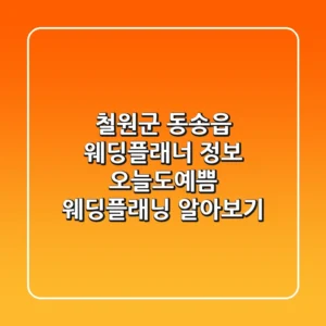철원군 동송읍 웨딩플래너 정보: 오늘도예쁨 웨딩플래닝 알아보기