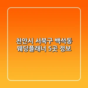 천안시 서북구 백석동 웨딩플래너 5곳 정보