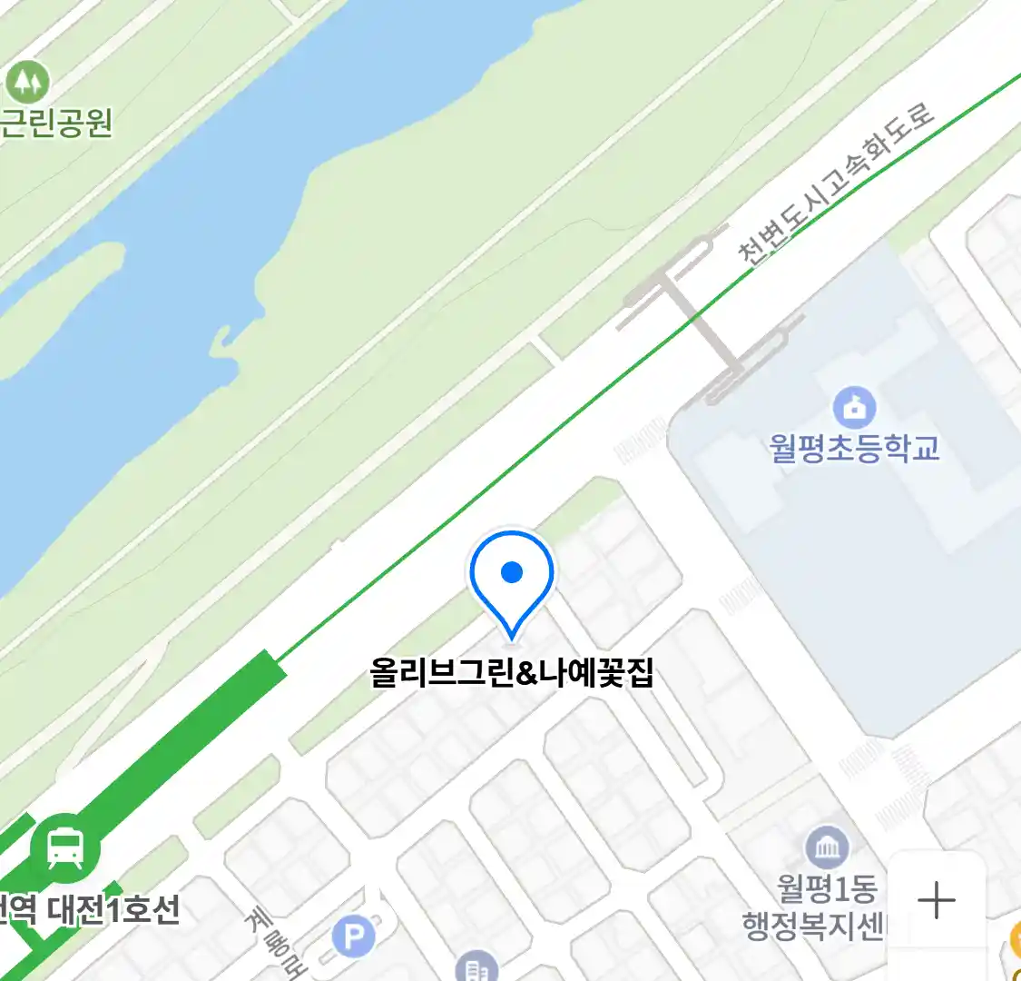 올리브그린&나예꽃집 위치