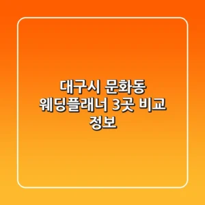 대구시 문화동 웨딩플래너 3곳 비교 정보