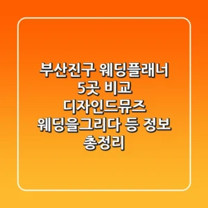 부산진구 웨딩플래너 5곳 비교 - 디자인드뮤즈, 웨딩을그리다 등 정보 총정리