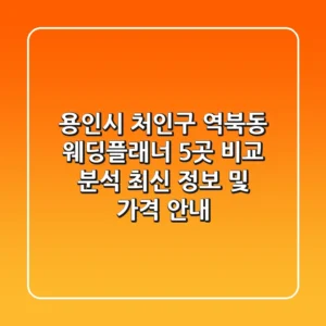 용인시 처인구 역북동 웨딩플래너 5곳 비교 분석 - 최신 정보 및 가격 안내