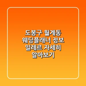 도봉구 월계동 웨딩플래너 정보 - 일레르 자세히 알아보기