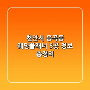 천안시 용곡동 웨딩플래너 5곳 정보 총정리