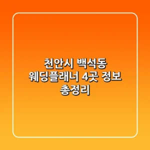 천안시 백석동 웨딩플래너 4곳 정보 총정리