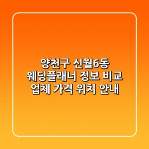 양천구 신월6동 웨딩플래너 정보 비교 - 업체, 가격, 위치 안내