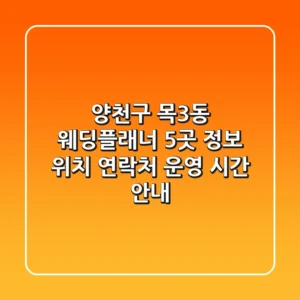 양천구 목3동 웨딩플래너 5곳 정보 - 위치, 연락처, 운영 시간 안내