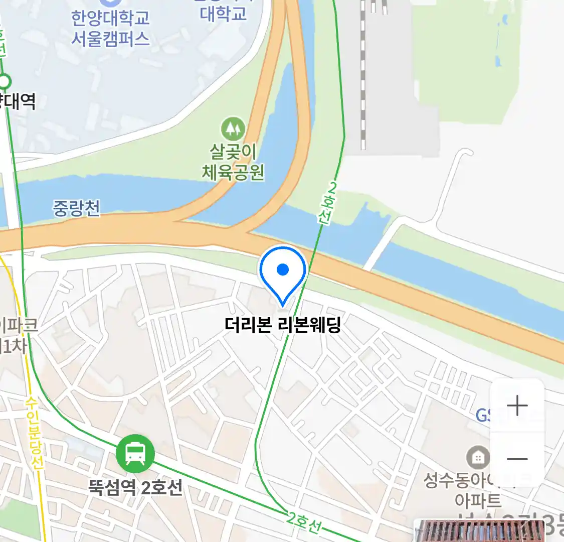 더리본 리본웨딩 위치